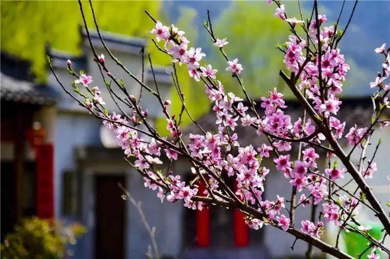 mg冰球突破·豪华版(试玩)官网首页